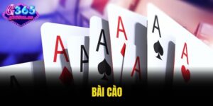 bài cào