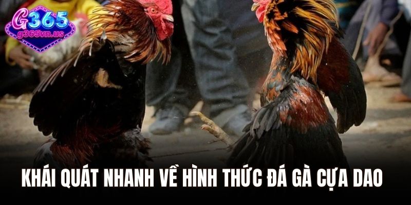 Đá Gà Cựa Dao – Môn Thể Thao Hot Hit Nhất Tại G365 4 Theo dõi các thông tin phân tích từ chuyên gia của nhà cái