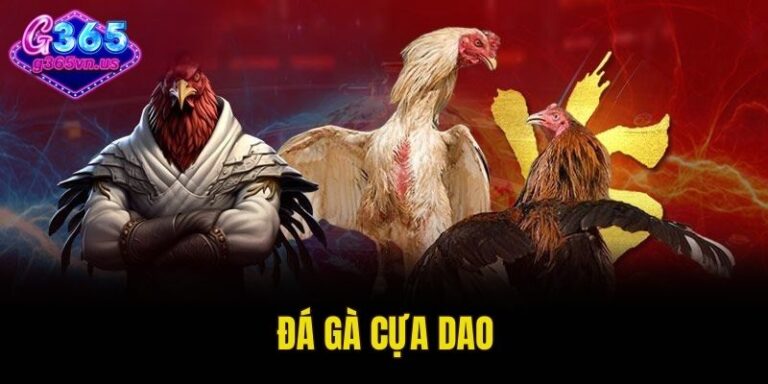 Đá Gà Cựa Dao – Môn Thể Thao Hot Hit Nhất Tại G365 6 đá gà cựa dao