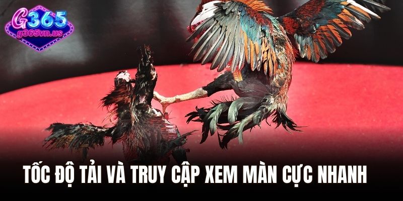 Tốc độ tải và truy cập xem màn tranh tài cực nhanh