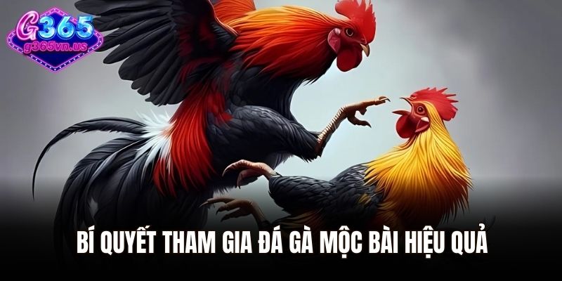 Khám Phá Đá Gà Mộc Bài Sân Chơi Giải Trí Cho Dân Chơi 3 Bí quyết tham gia đá gà Mộc Bài hiệu quả