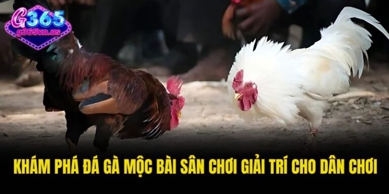 Khám Phá Đá Gà Mộc Bài Sân Chơi Giải Trí Cho Dân Chơi 5 Đá gà Mộc Bài
