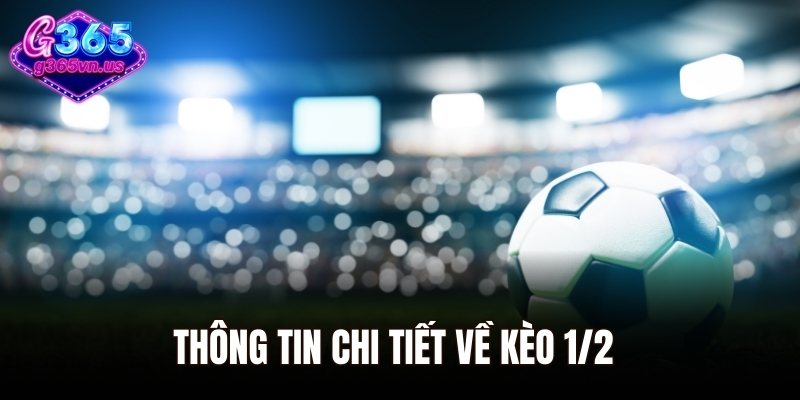 Kèo 1/2 - Cách Đọc Chuẩn Và Mẹo Đặt Cược Hiệu Quả 1 Thông tin chi tiết về kèo 1/2