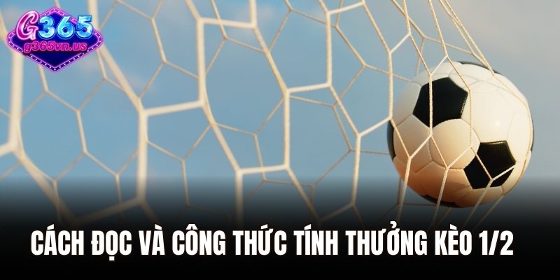 Kèo 1/2 - Cách Đọc Chuẩn Và Mẹo Đặt Cược Hiệu Quả 2 Cách đọc và công thức tính thưởng kèo 1/2 cần nắm