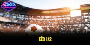 kèo 1/2