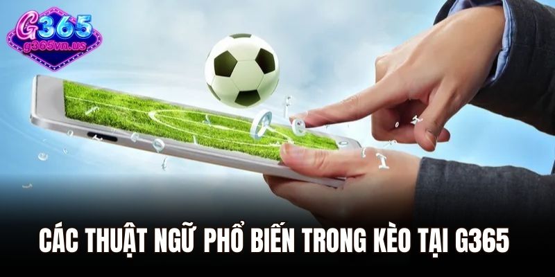Kèo Châu Âu - Tổng Hợp Các Mẹo Chơi Thắng Khủng 2025 2 Các thuật ngữ phổ biến trong kèo tại G365