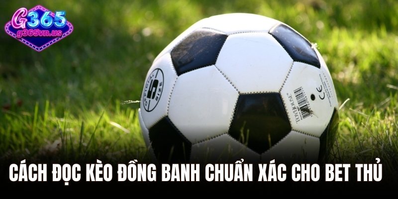 Cách đọc kèo đồng banh chuẩn xác cho bet thủ
