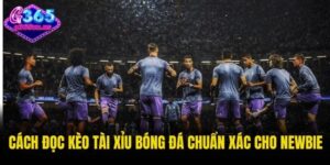 Kèo tài xỉu