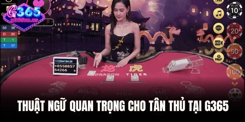 Rồng Hổ Online – Tựa Game Cược Hấp Dẫn Nhất Hiện Nay 2 Thuật ngữ quan trọng cho tân thủ tại G365