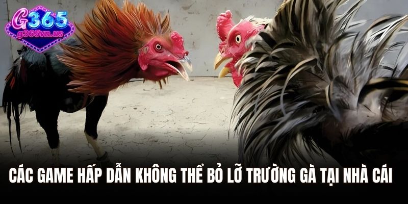 Các game hấp dẫn không thể bỏ lỡ trường gà tại nhà cái