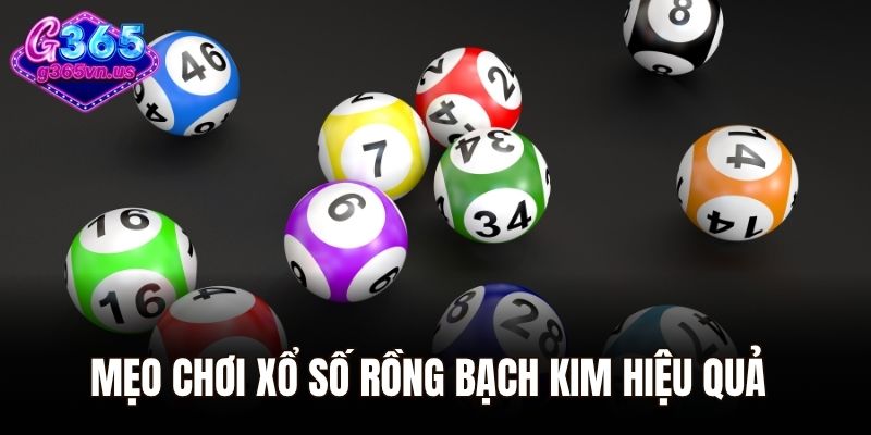 Xổ Số Rồng Bạch Kim - Bí Kíp Soi Cầu Chuẩn Xác Mỗi Ngày 3 Mẹo chơi xổ số Rồng Bạch Kim hiệu quả