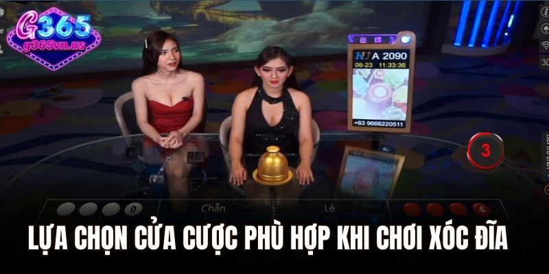 Xóc Đĩa Online - Đắm Chìm Trong Thế Giới Giải Trí Hấp Dẫn 2 Lựa chọn cửa cược phù hợp khi chơi xóc đĩa tại nhà cái